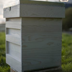 National Hive